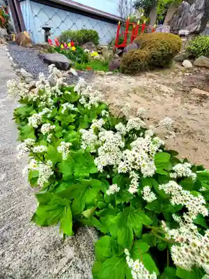大鏑神社(福島県)