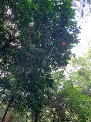 伊勢神宮内宮（皇大神宮）(三重県)