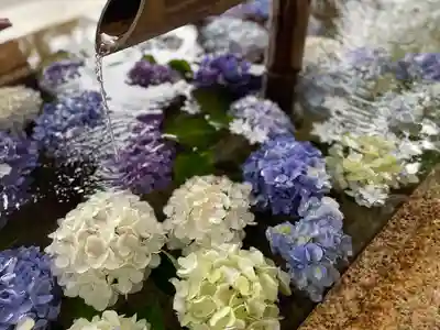 鶴岡八幡宮の手水舎