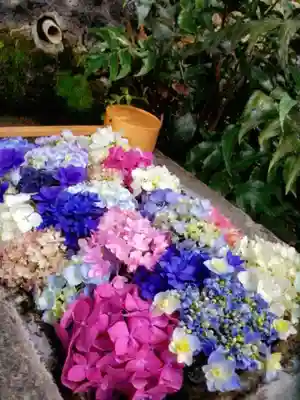本郷氷川神社(東京都)