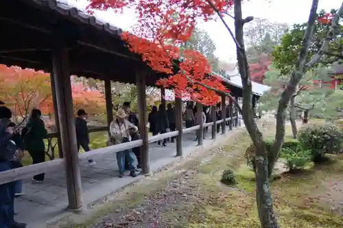 東福禅寺（東福寺）(京都府)