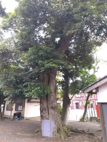 八幡神社(福井県)