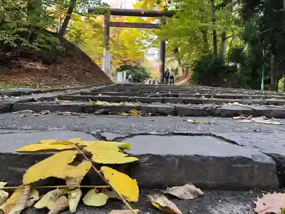 北海道神宮(北海道)