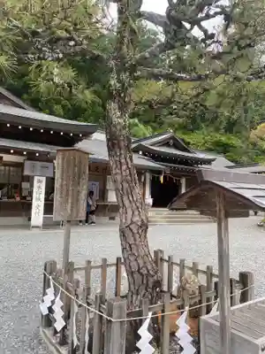 小國神社(静岡県)