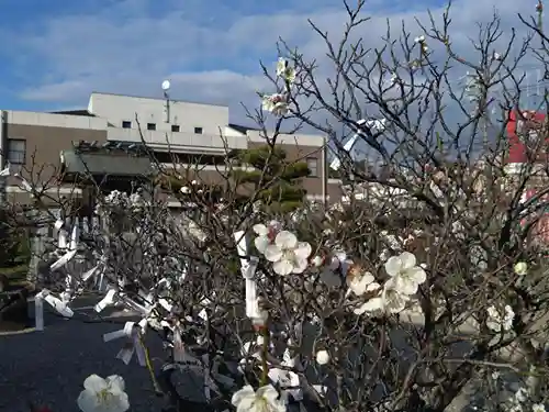 北原天満宮(愛知県)
