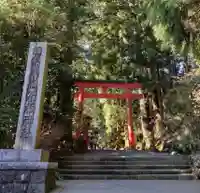 箱根神社の鳥居