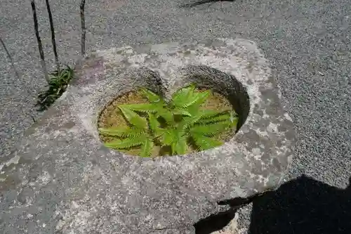 嘉川八幡宮(山口県)