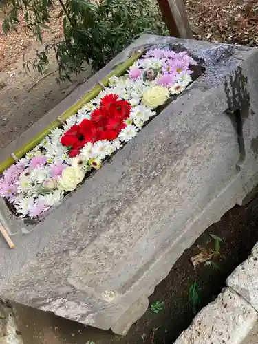 千代ケ岡八幡宮(栃木県)