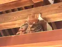 聖霊院(大阪府)