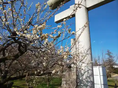 弘道館鹿島神社の自然