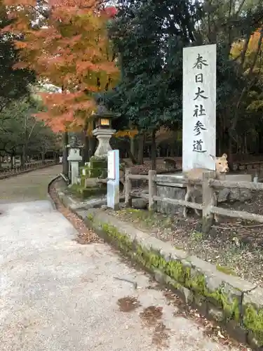 春日大社のその他建物