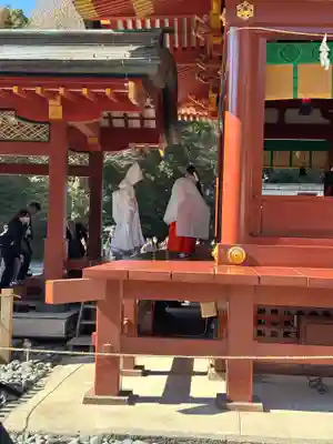 鶴岡八幡宮(神奈川県)