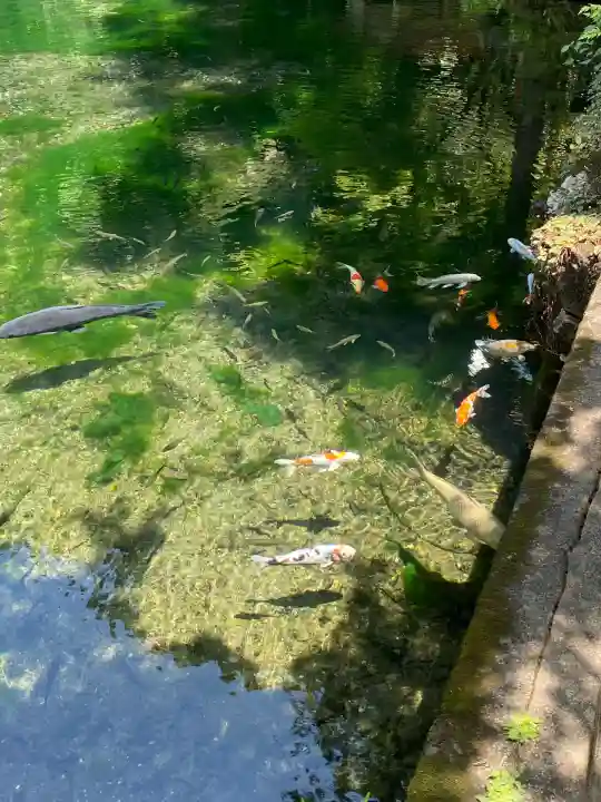 涌釜神社(栃木県)