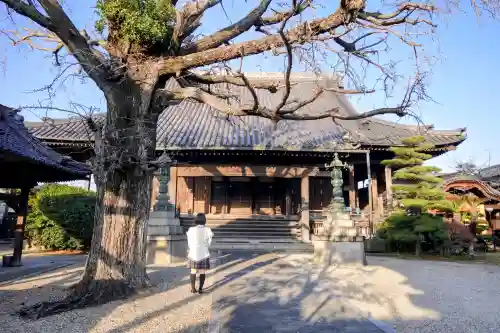 本伝寺の本殿・本堂