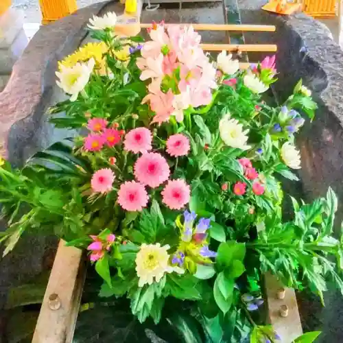 彌彦神社　(伊夜日子神社)の手水舎