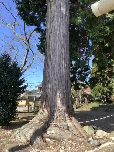 八剣神社(岐阜県)