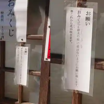 八天神社のおみくじ