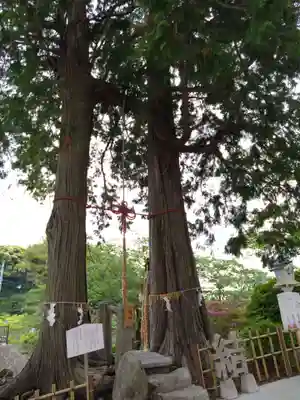 武雄神社(佐賀県)