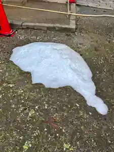 蚊里田八幡宮(長野県)(2025年12月22日(月) 18時47分34秒投稿)