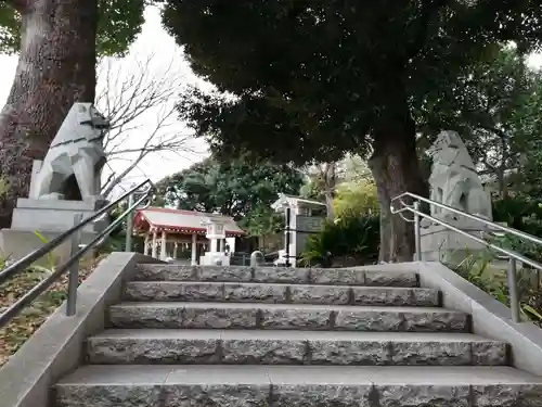 東郷神社の狛犬