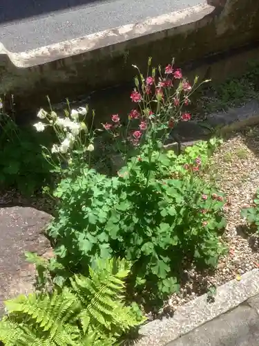 三輪神社の自然