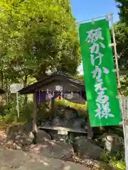 樽前山神社の狛犬