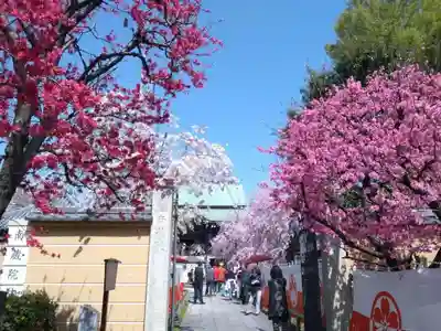 宝勝山　南藏院   蓮光寺のお祭り