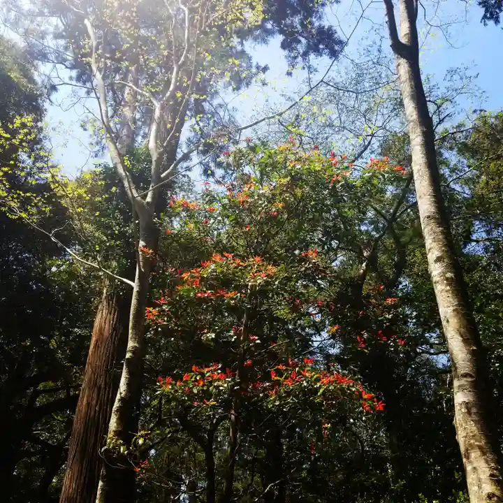 鹿島神宮の自然