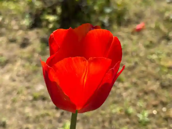 西方山極楽寺(岐阜県)