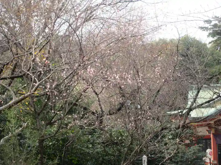 芝東照宮の自然