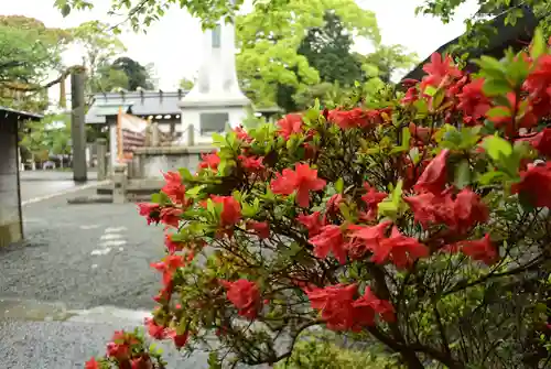 伊勢山皇大神宮(神奈川県)