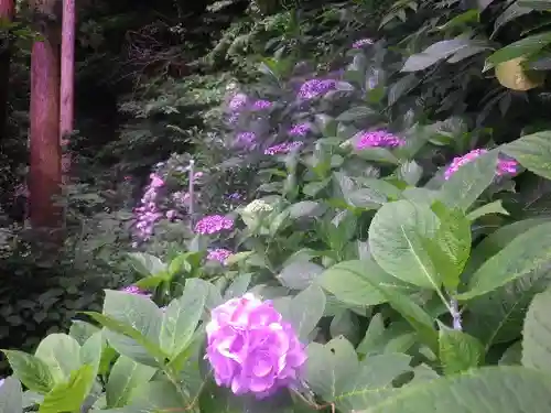 御霊神社の自然