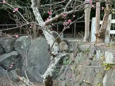 鎌倉宮の{uncategorized: "未分類", other: "その他", undefined: "問題あり", building: "その他建物", grave: "お墓", sacred_gate: "鳥居", guardian: "狛犬", statue: "像", buddha: "仏像", history: "歴史", nature: "自然", garden: "庭園", animal: "動物", pagoda: "塔", temizu: "手水舎", mountain_gate: "山門・神門", sanctuary: "本殿・本堂", subordinate: "末社・摂社", art: "芸術", scenery: "景色", jizo: "地蔵", ema: "絵馬", goshuin: "御朱印", omikuji: "おみくじ", items: "授与品その他", amulet: "お守り", goshuincho: "御朱印帳", eats: "食事", festival: "お祭り", votive_dance: "神楽", shichigosan: "七五三参", wedding: "結婚式", experience: "体験その他", initially: "初詣", around: "周辺", anti_infection: "感染症対策"}