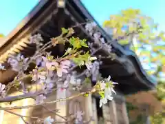 光明寺の自然