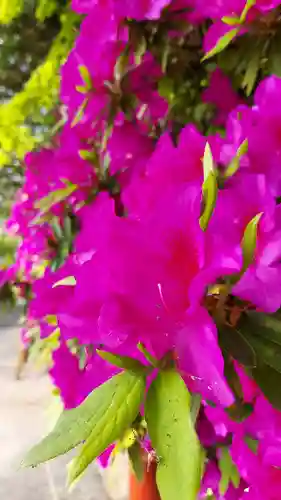 忌宮神社(山口県)