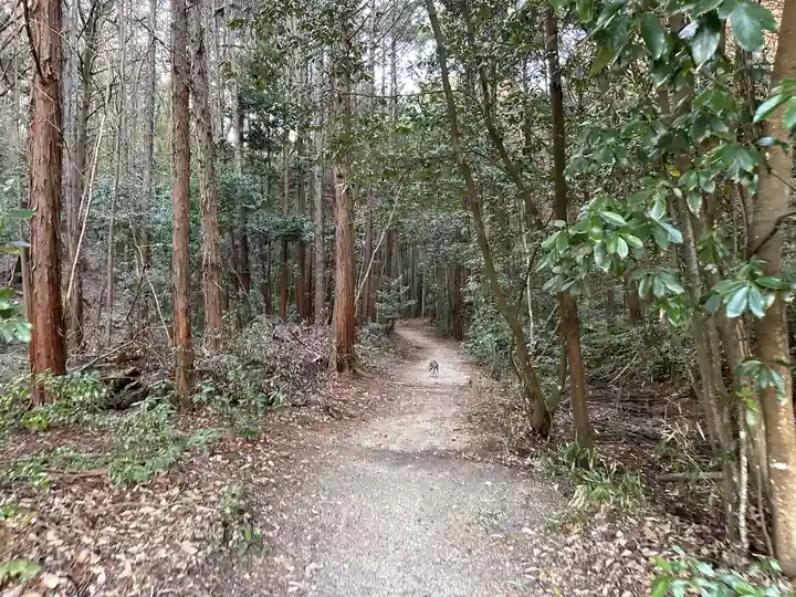 竜王神社(京都府)