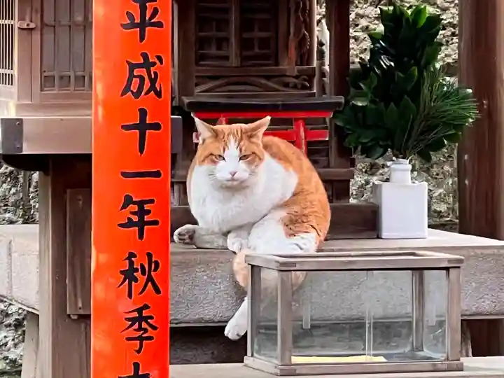 威光稲荷堂の動物