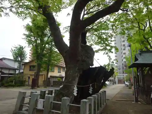 阿邪訶根神社の自然