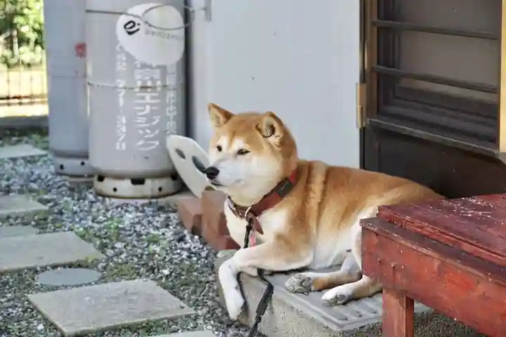 母智丘神社(東京都)