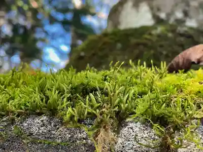 戸隠神社奥社(長野県)