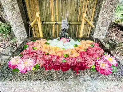 日吉大社(滋賀県)