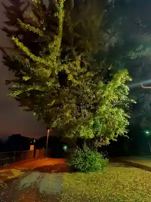 厚別神社(北海道)