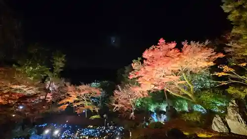 宝厳院(京都府)