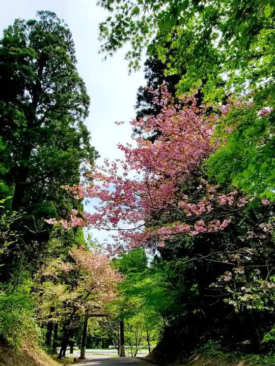土津神社|こどもと出世の神さまの景色