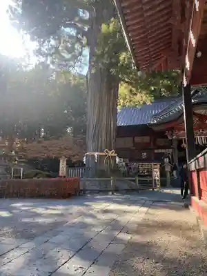 北口本宮冨士浅間神社(山梨県)