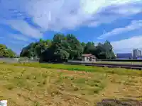 若宮八幡社の自然