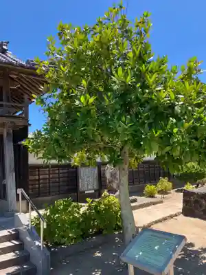 正福寺(鳥取県)