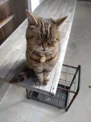 白峯寺(香川県)