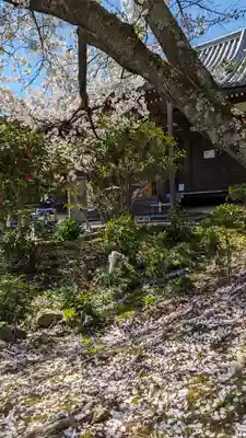 法金剛院(京都府)