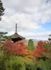 常寂光寺の建物その他